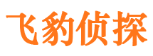 河津侦探公司